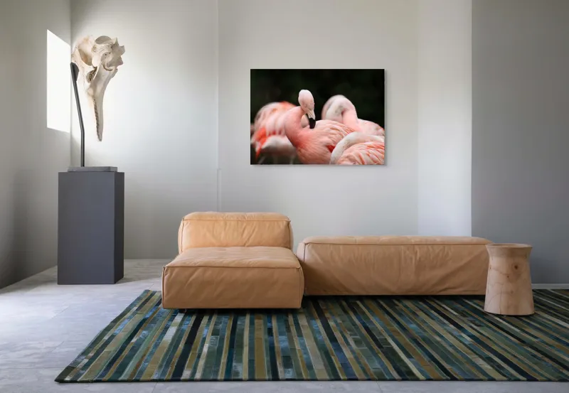 Tablou Canvas, "Grup de flamingo în repaus roz", Flamingo, Roz, Delicat, Elegant, Grup, Aripi, Penaj, 100 x 70 cm – poza 7