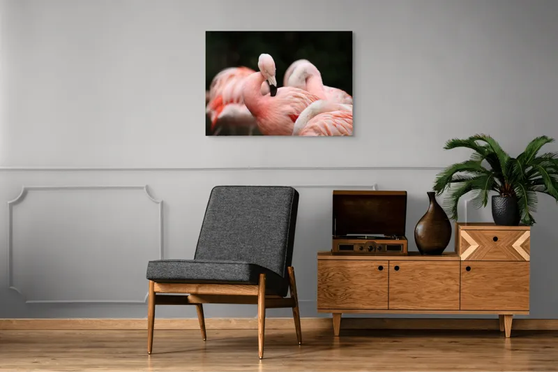 Tablou Canvas, "Grup de flamingo în repaus roz", Flamingo, Roz, Delicat, Elegant, Grup, Aripi, Penaj, 100 x 70 cm – poza 8