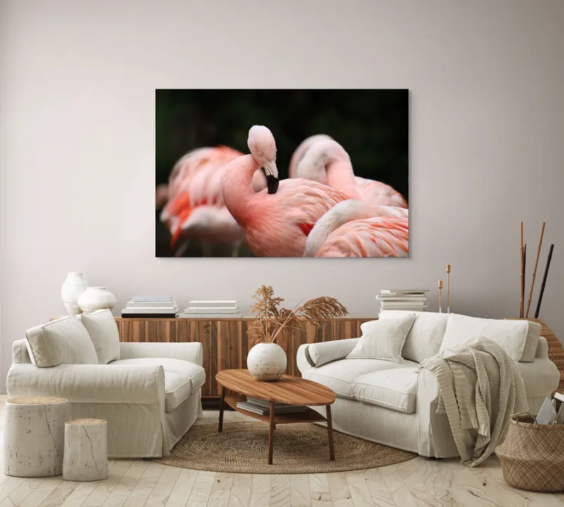Tablou Canvas, "Grup de flamingo în repaus roz", Flamingo, Roz, Delicat, Elegant, Grup, Aripi, Penaj, 150 x 100 cm – poza 3