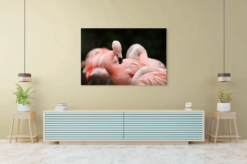 Tablou Canvas, "Grup de flamingo în repaus roz", Flamingo, Roz, Delicat, Elegant, Grup, Aripi, Penaj, 150 x 100 cm – poza 6