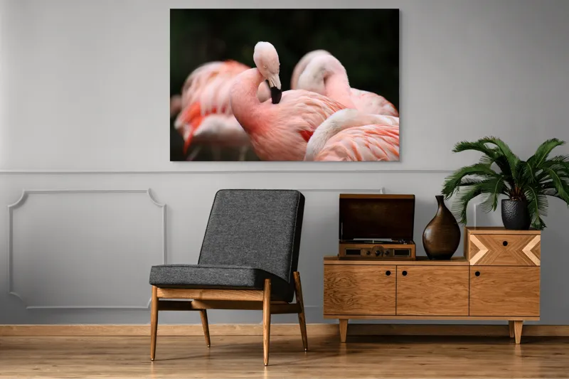 Tablou Canvas, "Grup de flamingo în repaus roz", Flamingo, Roz, Delicat, Elegant, Grup, Aripi, Penaj, 150 x 100 cm – poza 8