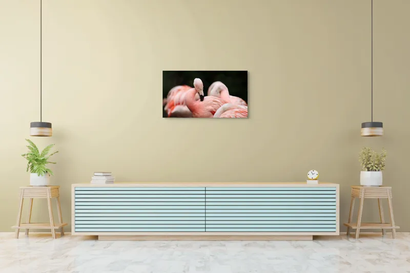 Tablou Canvas, "Grup de flamingo în repaus roz", Flamingo, Roz, Delicat, Elegant, Grup, Aripi, Penaj, 90 x 50 cm – poza 5