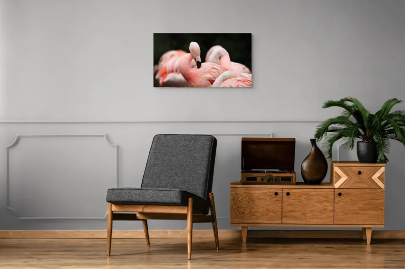 Tablou Canvas, "Grup de flamingo în repaus roz", Flamingo, Roz, Delicat, Elegant, Grup, Aripi, Penaj, 90 x 50 cm – poza 6