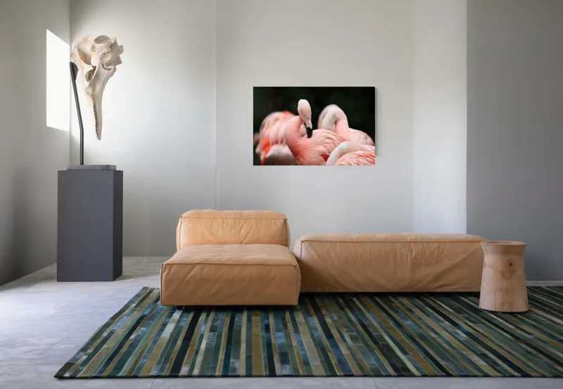 Tablou Canvas, "Grup de flamingo în repaus roz", Flamingo, Roz, Delicat, Elegant, Grup, Aripi, Penaj, 90 x 50 cm – poza 8