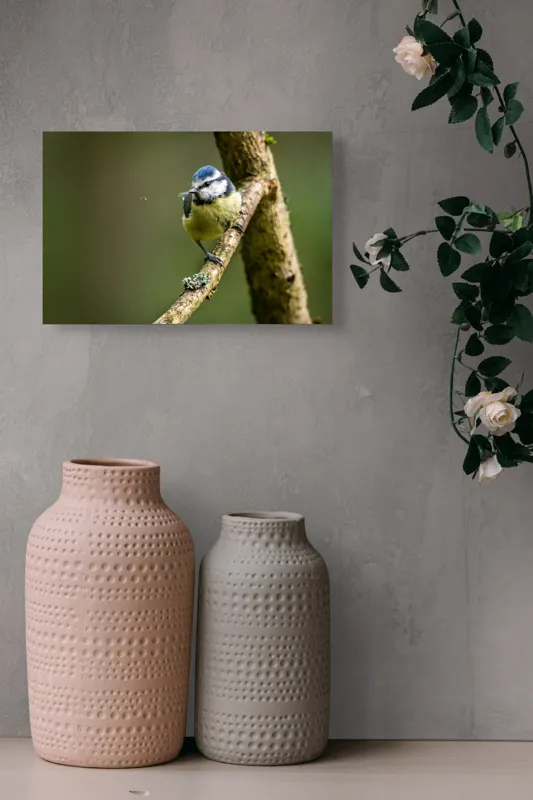 Tablou Canvas, "Pasărea albastră pe creangă bătrână", Pasăre, Creangă, Natură, Verdeață, Pene, Mică, Echilibru, Observare, Zbor, Delicatețe, 39 x 26 cm – poza 4