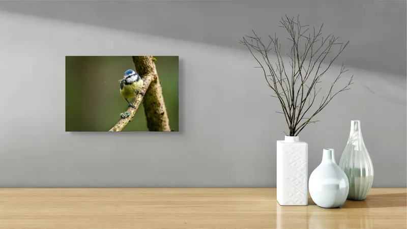 Tablou Canvas, "Pasărea albastră pe creangă bătrână", Pasăre, Creangă, Natură, Verdeață, Pene, Mică, Echilibru, Observare, Zbor, Delicatețe, 39 x 26 cm – poza 8