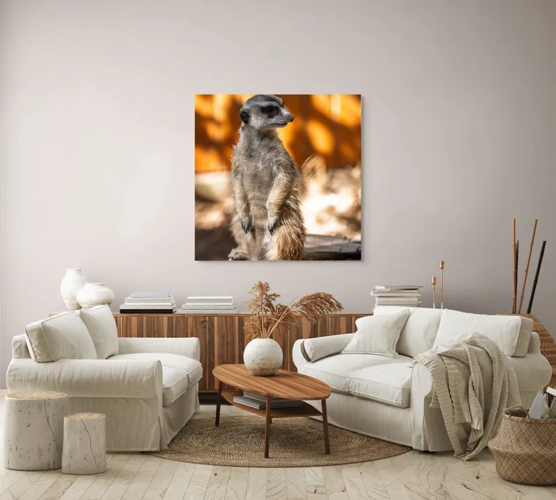 Tablou Canvas, "Suricata în lumina soarelui toamnei", 100 x 100 cm – poza 3