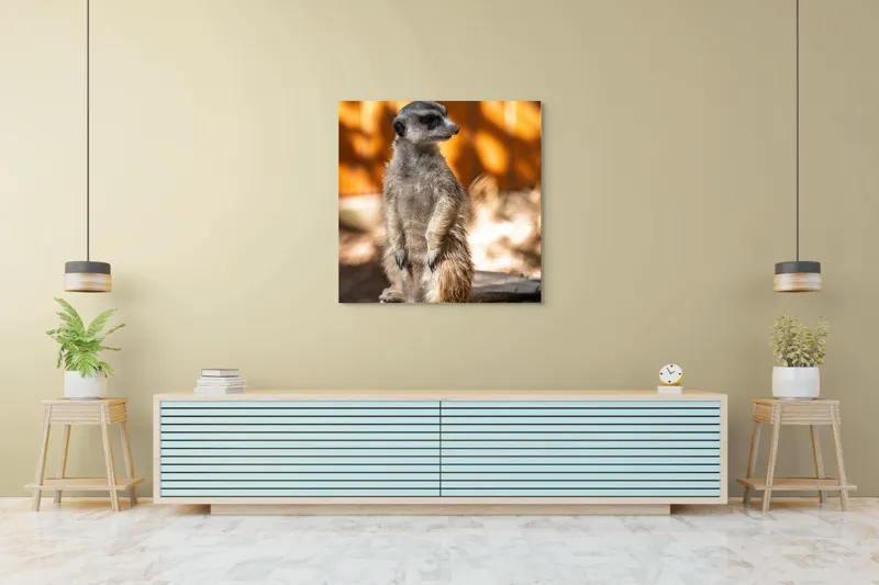 Tablou Canvas, "Suricata în lumina soarelui toamnei", 100 x 100 cm – poza 5