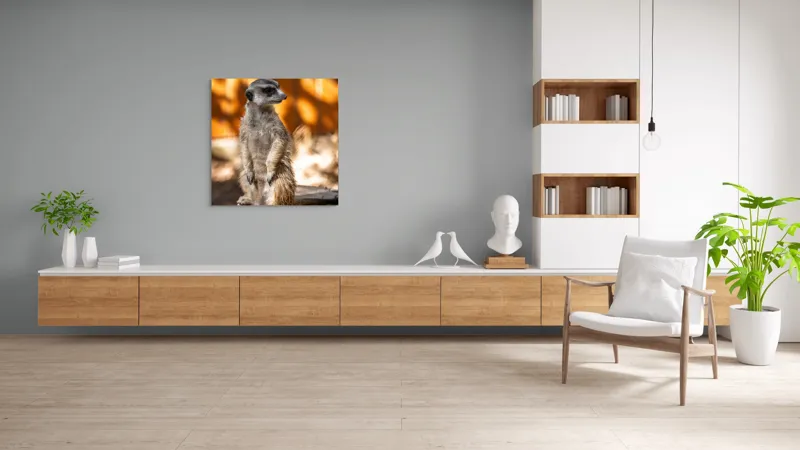 Tablou Canvas, "Suricata în lumina soarelui toamnei", 100 x 100 cm – poza 8