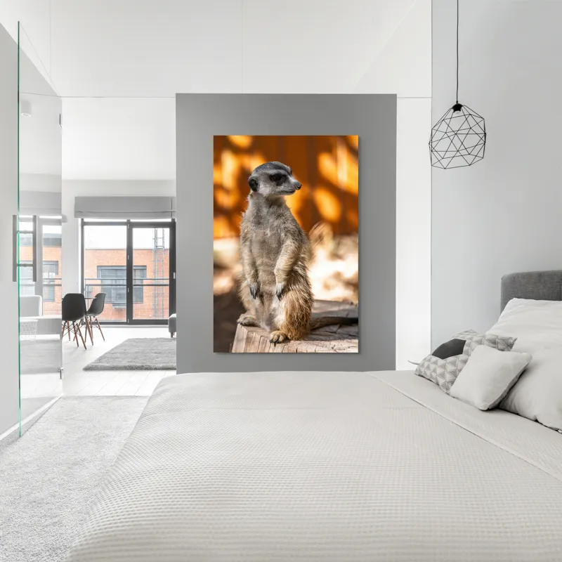 Tablou Canvas, "Suricata în lumina soarelui toamnei", 100 x 150 cm – poza 5