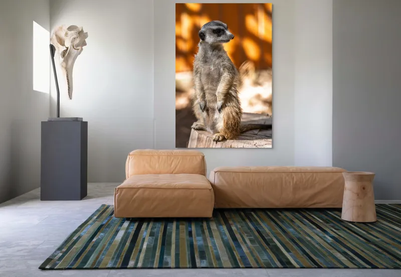 Tablou Canvas, "Suricata în lumina soarelui toamnei", 100 x 150 cm – poza 7
