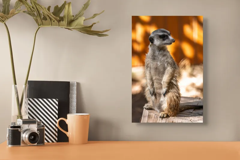 Tablou Canvas, "Suricata în lumina soarelui toamnei", 26 x 39 cm – poza 3