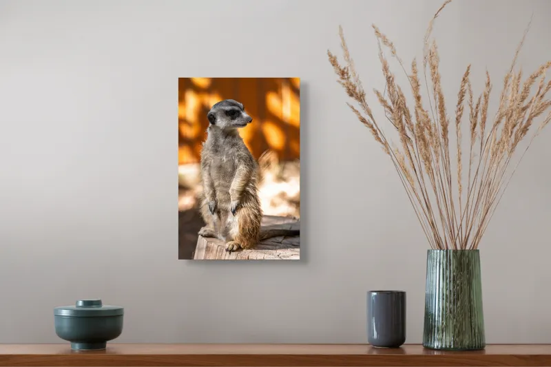 Tablou Canvas, "Suricata în lumina soarelui toamnei", 26 x 39 cm – poza 5