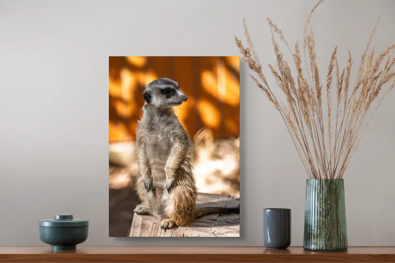 Tablou Canvas, "Suricata în lumina soarelui toamnei", 39 x 54 cm – poza 3