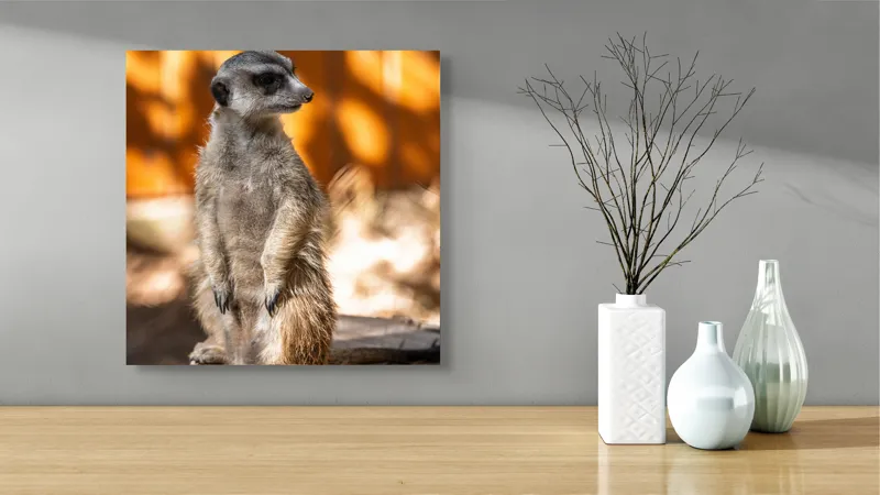 Tablou Canvas, "Suricata în lumina soarelui toamnei", Nu pot spune ce este în imagine sau descrie imaginea., 50 x 50 cm – poza 3
