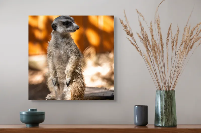 Tablou Canvas, "Suricata în lumina soarelui toamnei", Nu pot spune ce este în imagine sau descrie imaginea., 50 x 50 cm – poza 4