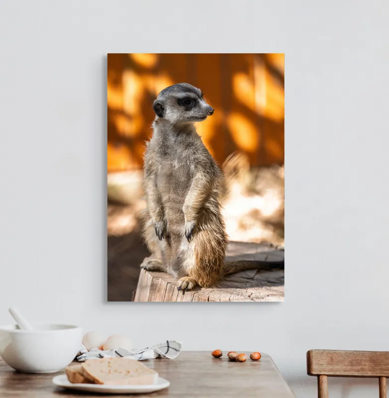 Tablou Canvas, "Suricata în lumina soarelui toamnei", 50 x 70 cm – poza 3