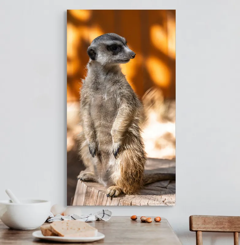 Tablou Canvas, "Suricata în lumina soarelui toamnei", 50 x 90 cm – poza 3