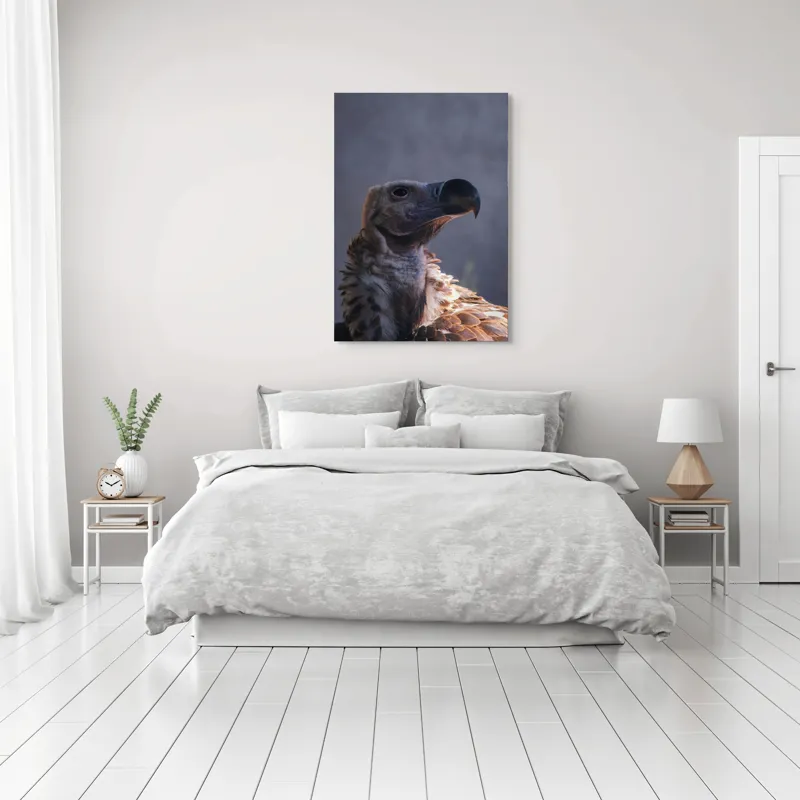 Tablou Canvas, "Vulturul privindu-și înaltul cerului", Pene, Cioc, Privire, Umbră, Prădător, Eleganță, Penaj, 70 x 100 cm – poza 3