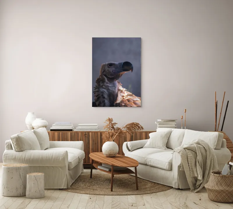 Tablou Canvas, "Vulturul privindu-și înaltul cerului", Pene, Cioc, Privire, Umbră, Prădător, Eleganță, Penaj, 70 x 100 cm – poza 4