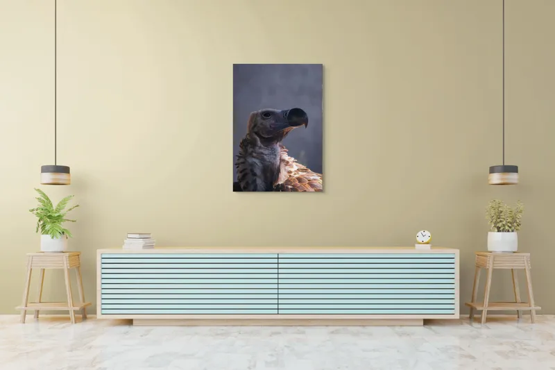 Tablou Canvas, "Vulturul privindu-și înaltul cerului", Pene, Cioc, Privire, Umbră, Prădător, Eleganță, Penaj, 70 x 100 cm – poza 5