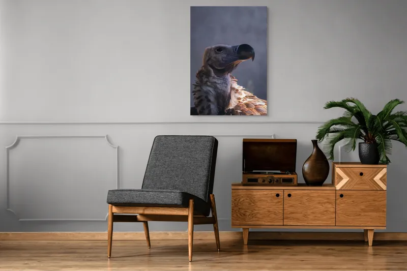 Tablou Canvas, "Vulturul privindu-și înaltul cerului", Pene, Cioc, Privire, Umbră, Prădător, Eleganță, Penaj, 70 x 100 cm – poza 6