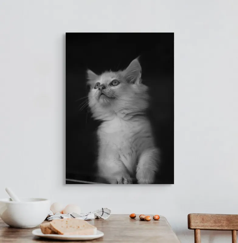 Tablou Canvas, "Pisicuta visătoare privind cerul", Blană, Pisoi, Mustăți, Ochi, Delicatețe, Atenție, Blândețe, Lumină, Contrast, Încântare, 50 x 70 cm – poza 3