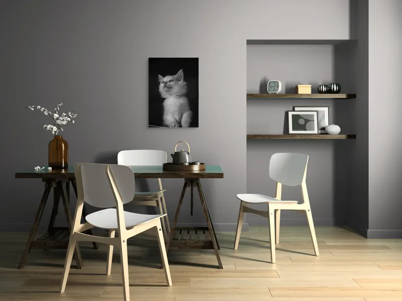 Tablou Canvas, "Pisicuta visătoare privind cerul", Blană, Pisoi, Mustăți, Ochi, Delicatețe, Atenție, Blândețe, Lumină, Contrast, Încântare, 50 x 70 cm – poza 5
