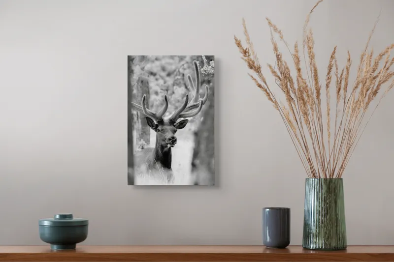 Tablou Canvas, "Cerbul printre copaci în lumina pădurii", Cerb, Grațios, Impunător, Elegant, Natură, Pădurii, Regal, Misterios, 26 x 39 cm – poza 5