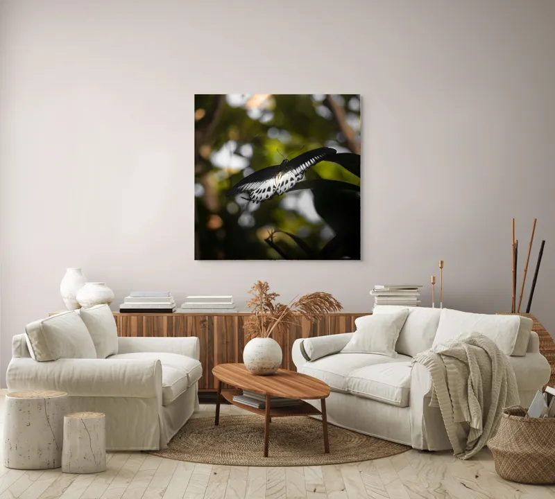 Tablou Canvas, "Fluture în lumina naturii tropicale", Fluture, Fragil, Zbor, Natură, Umbre, Lumină, Aripi, Frumusețe, 100 x 100 cm – poza 3