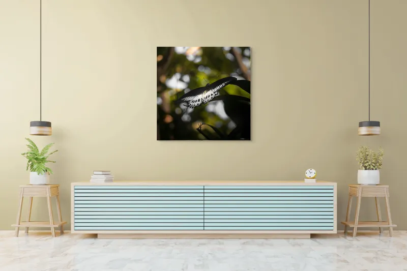 Tablou Canvas, "Fluture în lumina naturii tropicale", Fluture, Fragil, Zbor, Natură, Umbre, Lumină, Aripi, Frumusețe, 100 x 100 cm – poza 5