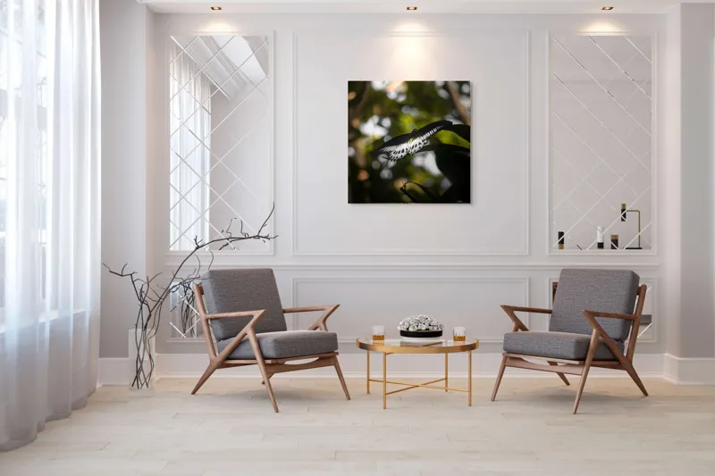 Tablou Canvas, "Fluture în lumina naturii tropicale", Fluture, Fragil, Zbor, Natură, Umbre, Lumină, Aripi, Frumusețe, 100 x 100 cm – poza 7