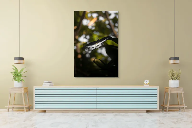 Tablou Canvas, "Fluture în lumina naturii tropicale", Fluture, Fragil, Zbor, Natură, Umbre, Lumină, Aripi, Frumusețe, 100 x 150 cm – poza 4