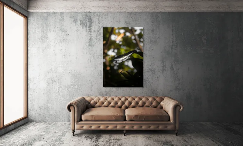 Tablou Canvas, "Fluture în lumina naturii tropicale", Fluture, Fragil, Zbor, Natură, Umbre, Lumină, Aripi, Frumusețe, 100 x 150 cm – poza 6