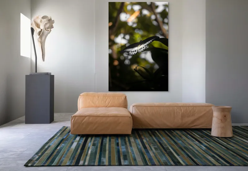 Tablou Canvas, "Fluture în lumina naturii tropicale", Fluture, Fragil, Zbor, Natură, Umbre, Lumină, Aripi, Frumusețe, 100 x 150 cm – poza 7