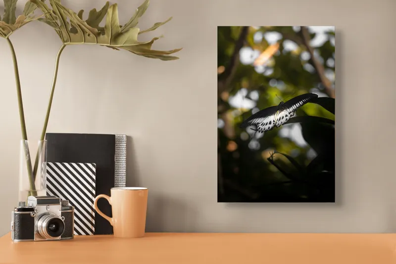 Tablou Canvas, "Fluture în lumina naturii tropicale", Fluture, Fragil, Zbor, Natură, Umbre, Lumină, Aripi, Frumusețe, 26 x 39 cm – poza 3