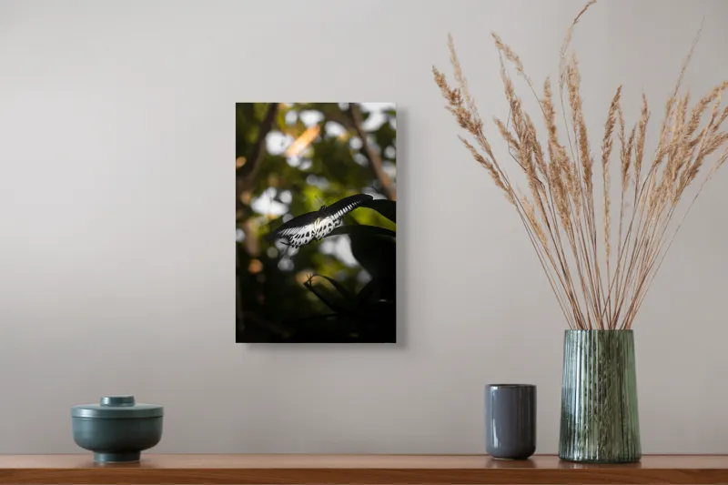 Tablou Canvas, "Fluture în lumina naturii tropicale", Fluture, Fragil, Zbor, Natură, Umbre, Lumină, Aripi, Frumusețe, 26 x 39 cm – poza 5