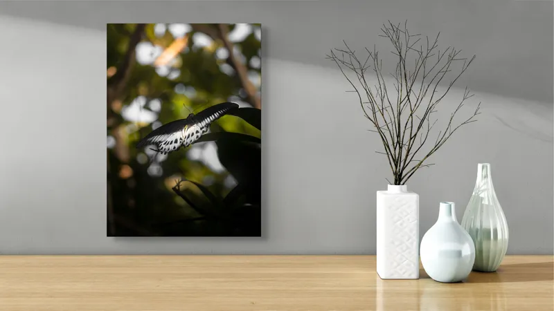 Tablou Canvas, "Fluture în lumina naturii tropicale", Fluture, Fragil, Zbor, Natură, Umbre, Lumină, Aripi, Frumusețe, 39 x 54 cm – poza 4