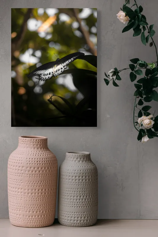 Tablou Canvas, "Fluture în lumina naturii tropicale", Fluture, Fragil, Zbor, Natură, Umbre, Lumină, Aripi, Frumusețe, 39 x 54 cm – poza 6