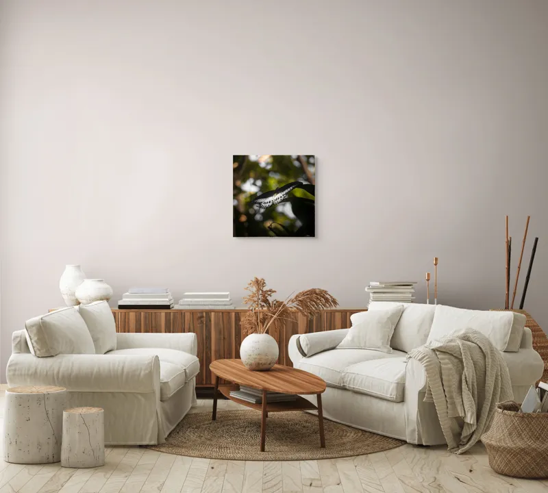 Tablou Canvas, "Fluture în lumina naturii tropicale", Fluture, Fragil, Zbor, Natură, Umbre, Lumină, Aripi, Frumusețe, 50 x 50 cm – poza 7