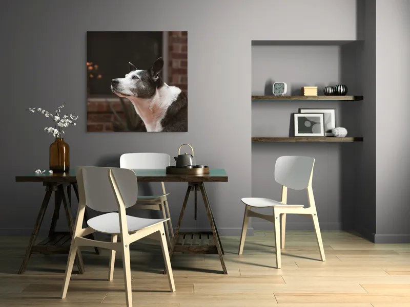 Tablou Canvas, "Câinele contemplativ în grădină toamna", Flori, Perete, Câine, Oală, Oiță, Fereastră, 100 x 100 cm – poza 6
