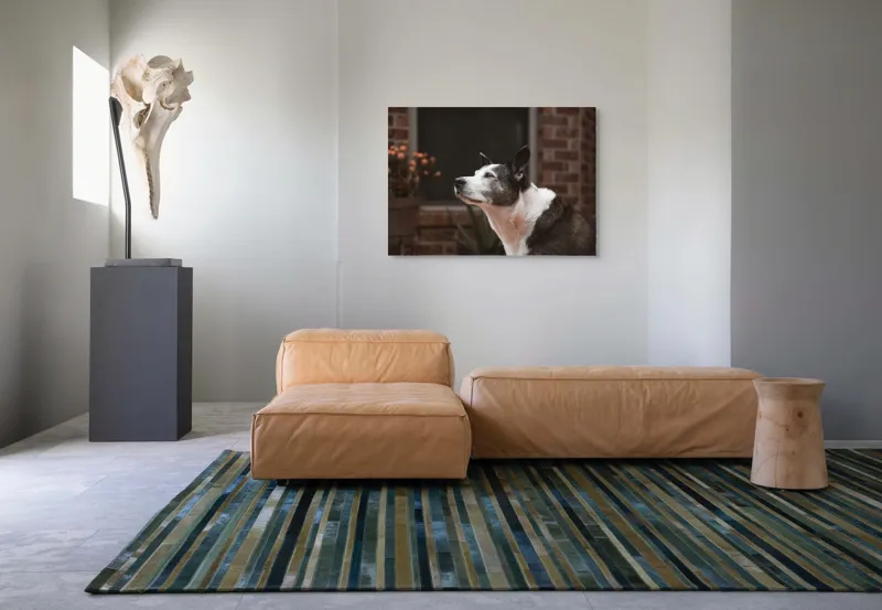 Tablou Canvas, "Câinele contemplativ în grădină toamna", Flori, Perete, Câine, Oală, Oiță, Fereastră, 100 x 70 cm – poza 7