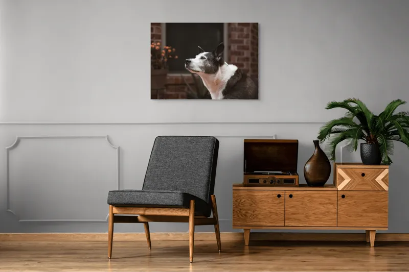 Tablou Canvas, "Câinele contemplativ în grădină toamna", Flori, Perete, Câine, Oală, Oiță, Fereastră, 100 x 70 cm – poza 8