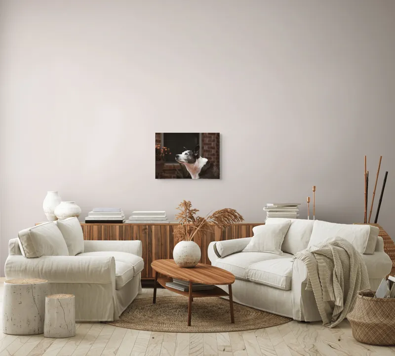 Tablou Canvas, "Câinele contemplativ în grădină toamna", Flori, Perete, Câine, Oală, Oiță, Fereastră, 54 x 39 cm – poza 5