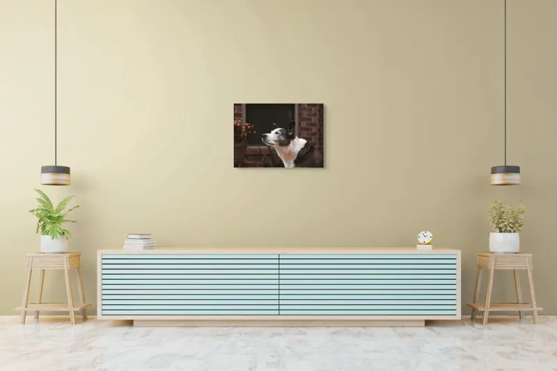 Tablou Canvas, "Câinele contemplativ în grădină toamna", Flori, Perete, Câine, Oală, Oiță, Fereastră, 70 x 50 cm – poza 7