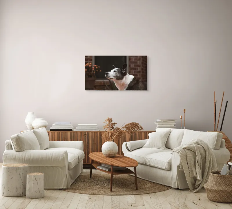 Tablou Canvas, "Câinele contemplativ în grădină toamna", Flori, Perete, Câine, Oală, Oiță, Fereastră, 90 x 50 cm – poza 4