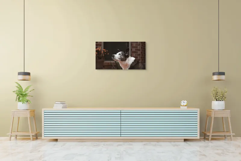 Tablou Canvas, "Câinele contemplativ în grădină toamna", Flori, Perete, Câine, Oală, Oiță, Fereastră, 90 x 50 cm – poza 5