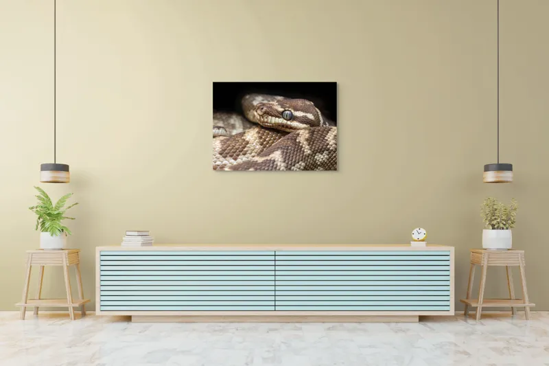 Tablou Canvas, "Sarpele printre umbre și texturi", Șarpe, Privire, Solzi, Textură, Reptilă, Natură, Detaliu, Ochi, Culoare, Model, 100 x 70 cm – poza 4