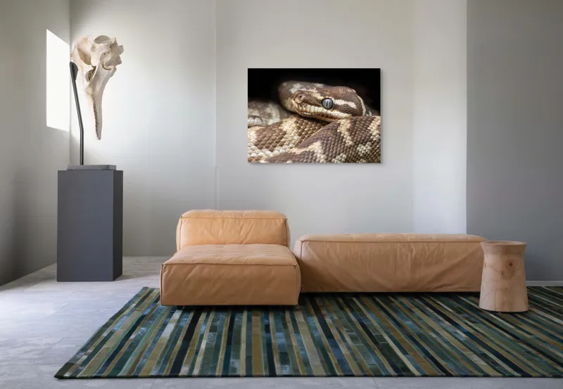 Tablou Canvas, "Sarpele printre umbre și texturi", Șarpe, Privire, Solzi, Textură, Reptilă, Natură, Detaliu, Ochi, Culoare, Model, 100 x 70 cm – poza 7