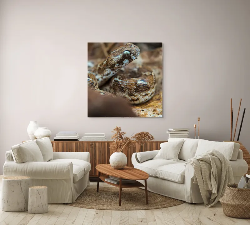 Tablou Canvas, Șarpe, Solzi, Ochi, Culoare, Textură, Frunze, Camuflaj, Natură, Detaliu, Aproape, 100 x 100 cm – poza 3